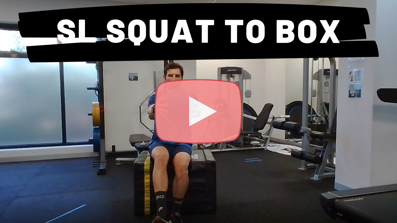 SL Squat to Box